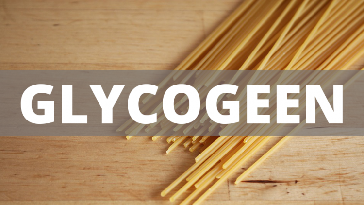 wat-is-glycogeen