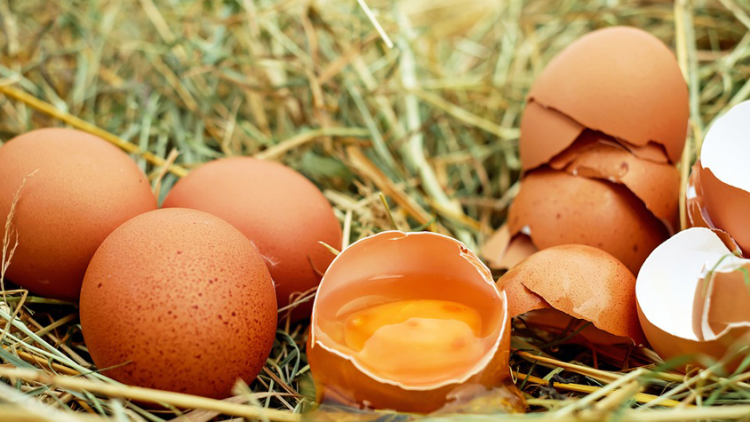 hoeveel-eieren-per-dag