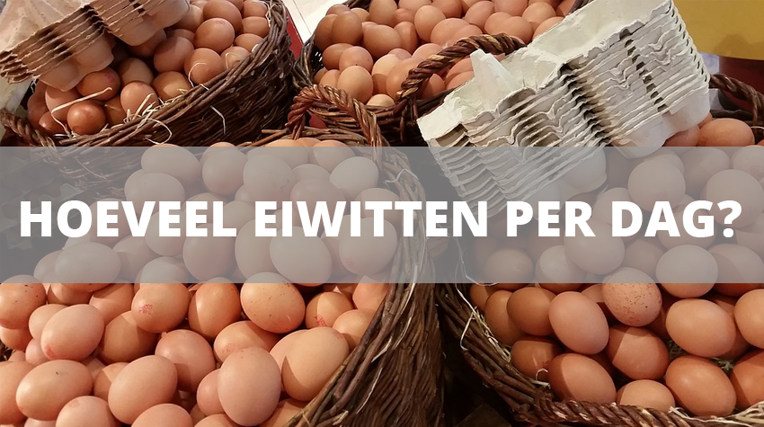 hoeveel-eiwitten-per-dag