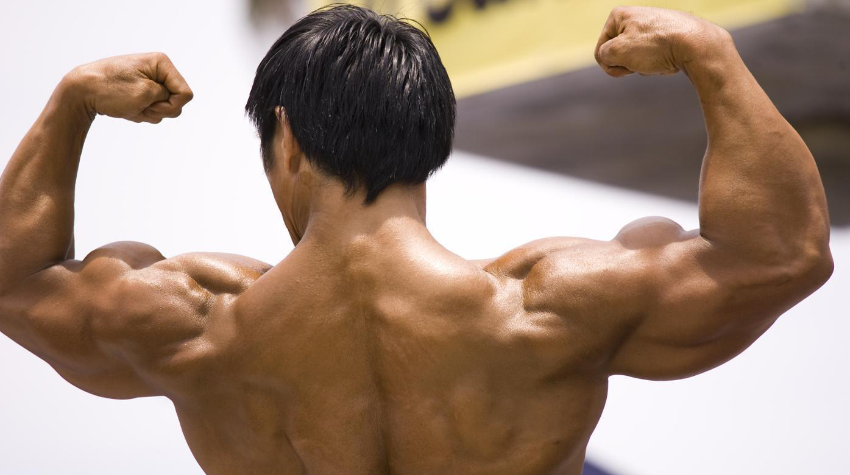 Hoeveel spieren heeft een mens? | Muscle Concepts