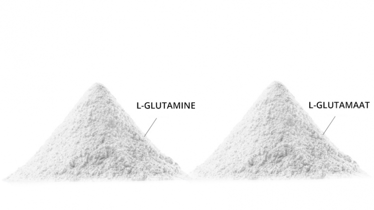 verschil-glutamine-glutamaat