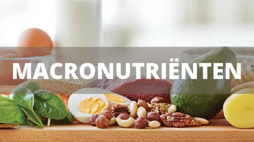 wat-zijn-macronutrienten
