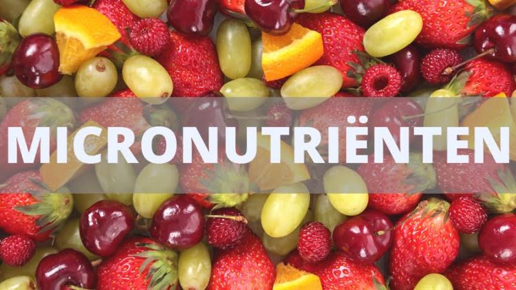 wat-zijn-micronutrienten