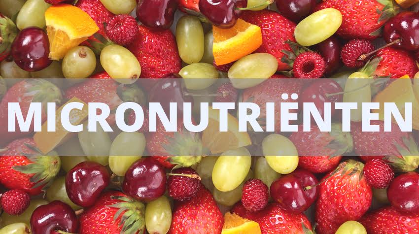 wat-zijn-micronutrienten