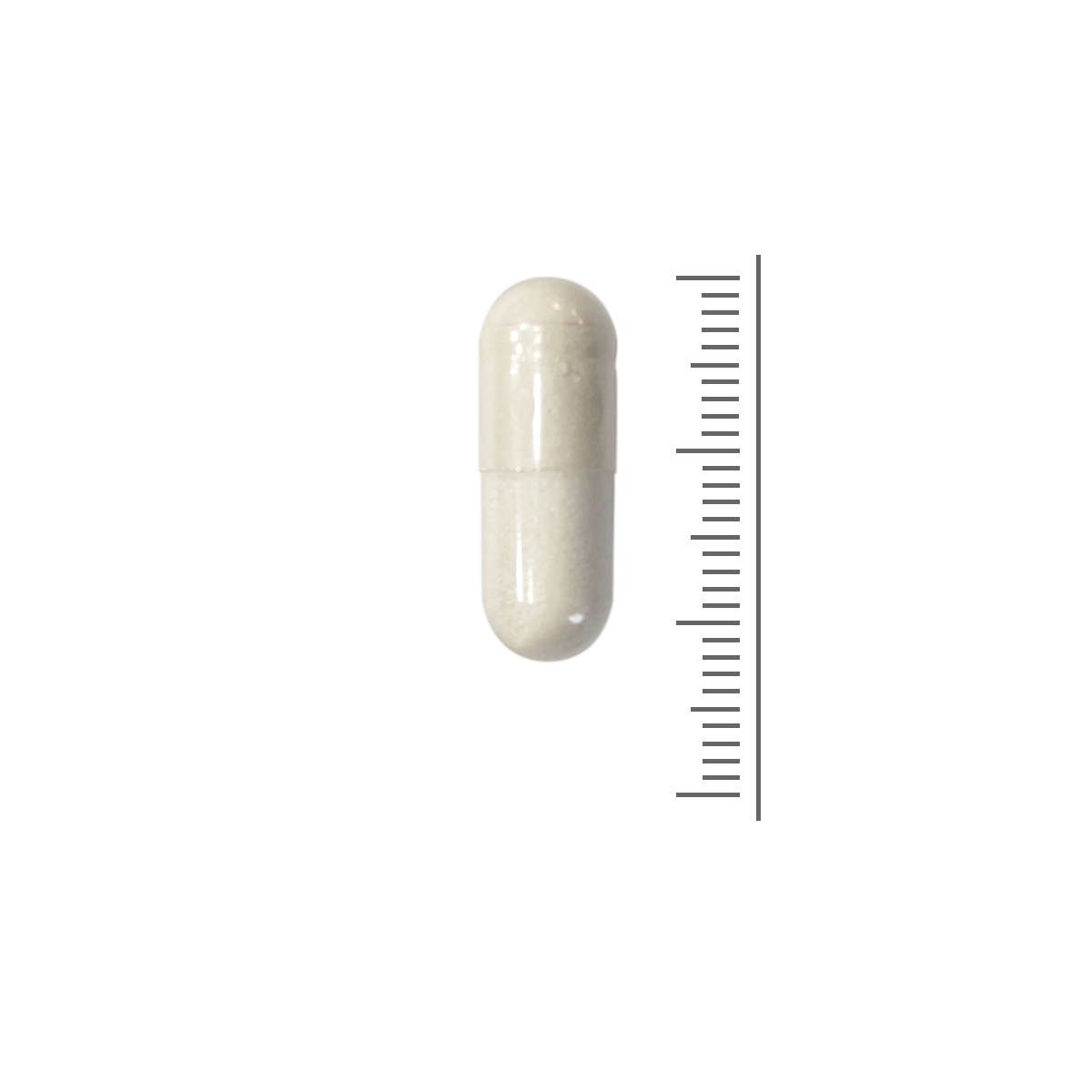 5-htp 5-htp