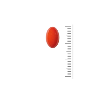 Co-Enzym Q10