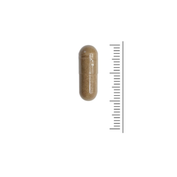 Rhodiola & Ginseng
