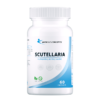scutellaria