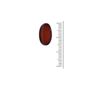 Vitamine K2 + D3 Softgel